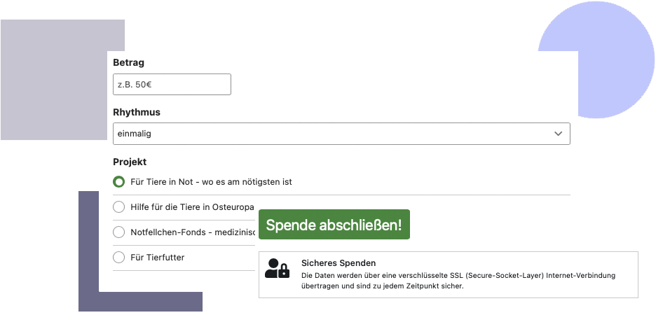 Modernes Spendenformular mit individuellen Betragsvorschlägen und Gebührenübernahme